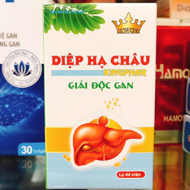 Diệp hạ châu kingphar hộp 40 viên