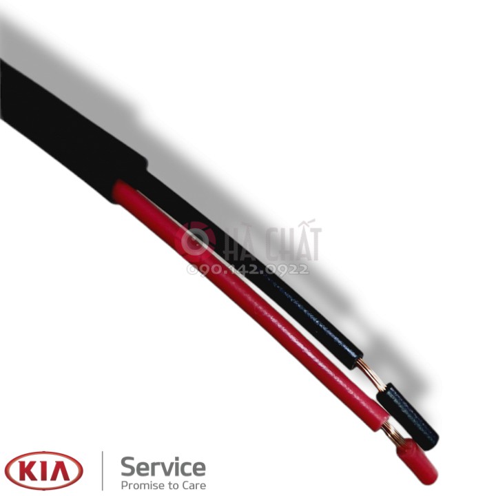 Công Tắc / Nút Bấm Mở Cốp Xe Morning, i10, Picanto, Accent, Rio | BigBuy360 - bigbuy360.vn
