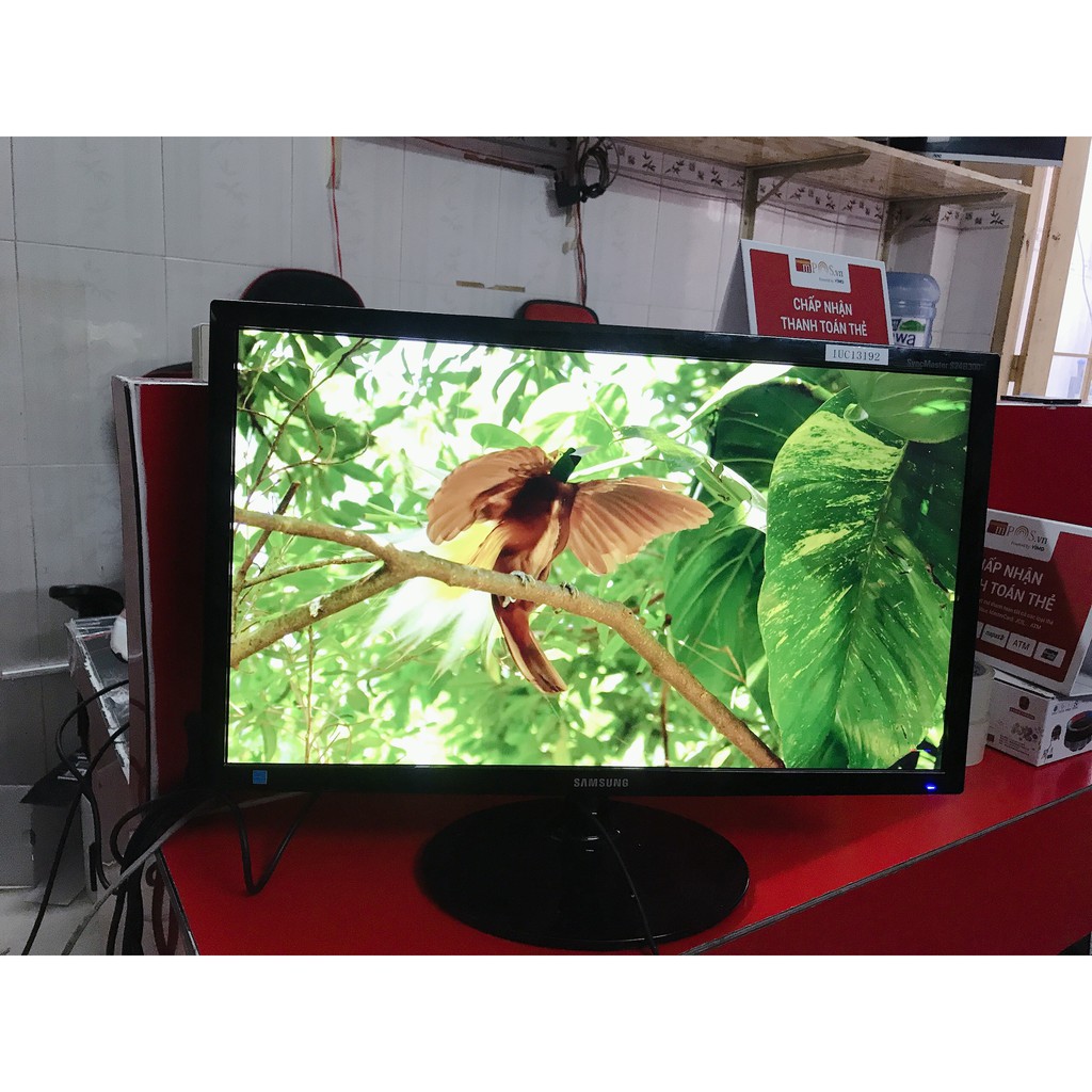 MÀN HÌNH MÁY TÍNH SAMSUNG 24INCH GIÁ RE DEP LONG LANH | BigBuy360 - bigbuy360.vn