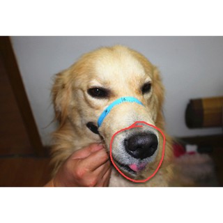 🐶 RỌ MÕM CHO CHÓ TỪ <50KG