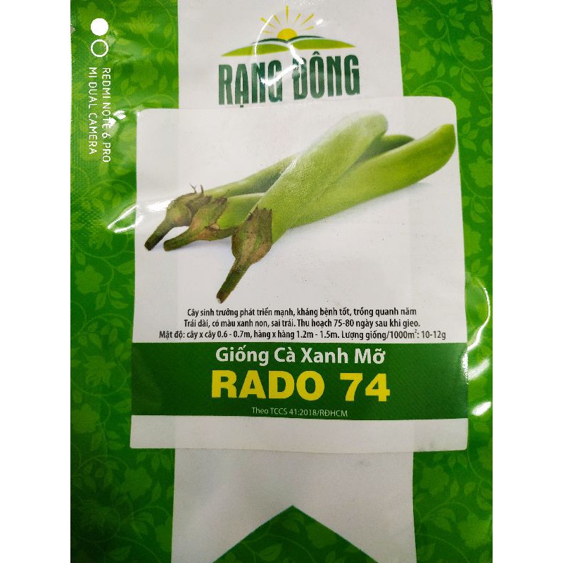 Hạt giống Cà xanh mỡ 0.5gr❤️FREESHIP XTRA❤️