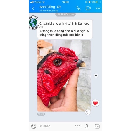 Linh đan cóc