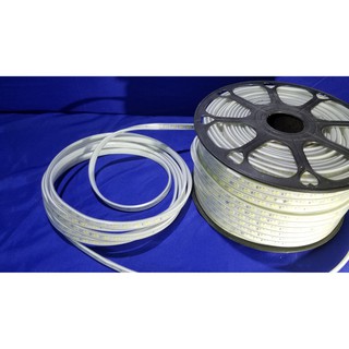 Dây led hắt trang trí 2 mắt ( đơn giá /m )