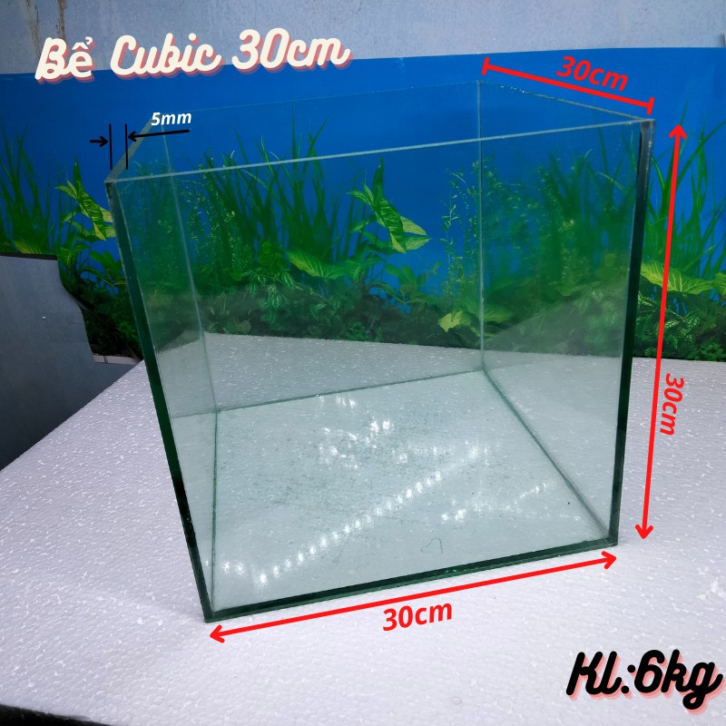 Bể cá mini CUBIC( 15-20-25-30cm) dành cho nuôi cá cảnh hoặc chơi thủy sinh