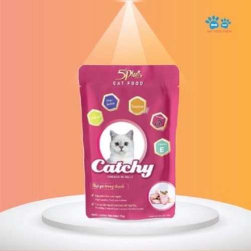 Pate Catchy 5plus dành cho mèo cưng dạng gói 70g nhiều vị hàng việt nam chất lượng cao