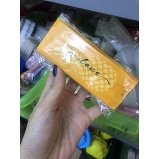 Túi đựng bánh dứa