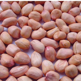 Lạc trắng bóc tay