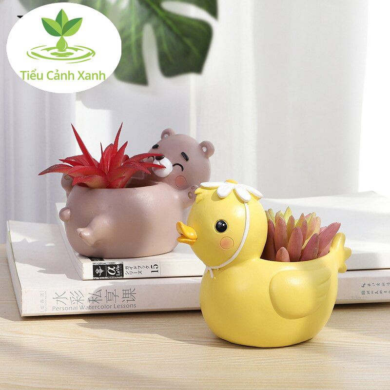 Chậu vịt đẹt trang trí