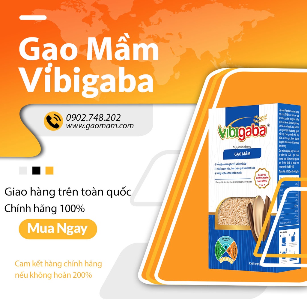Combo Gạo Mầm - Gạo Mầm Nghệ - Gạo Mầm Tỏi Đen - Dành Cho Tiểu Đường Thai Kỳ | BigBuy360 - bigbuy360.vn