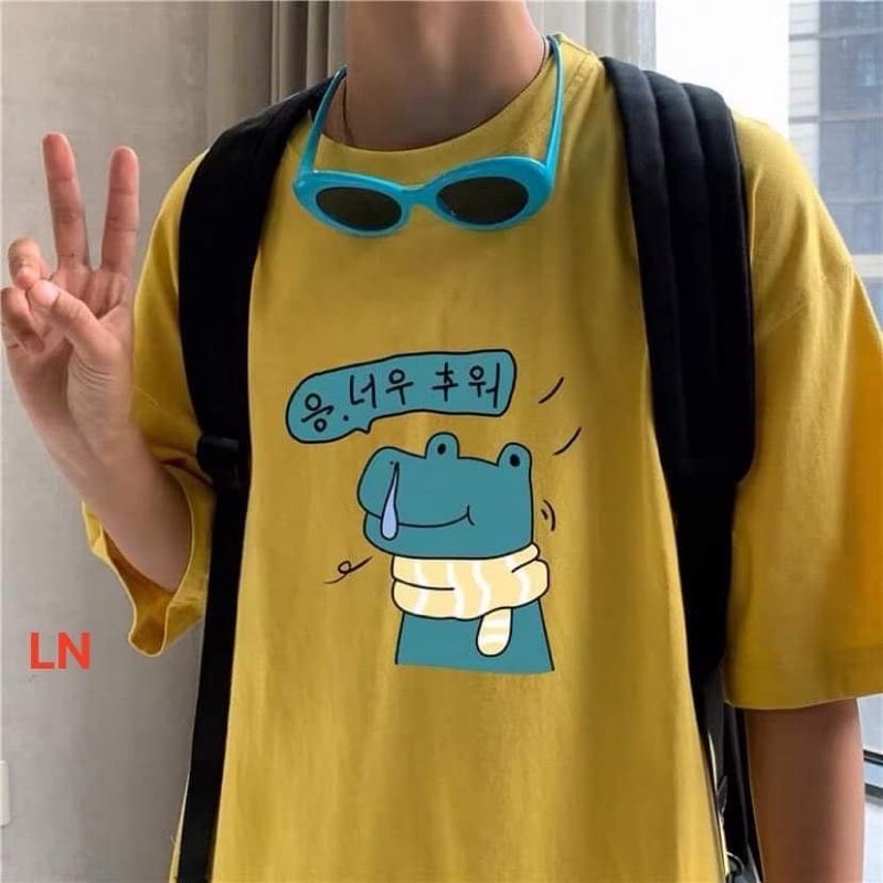 Áo phông khủng long quàng khăn TH6