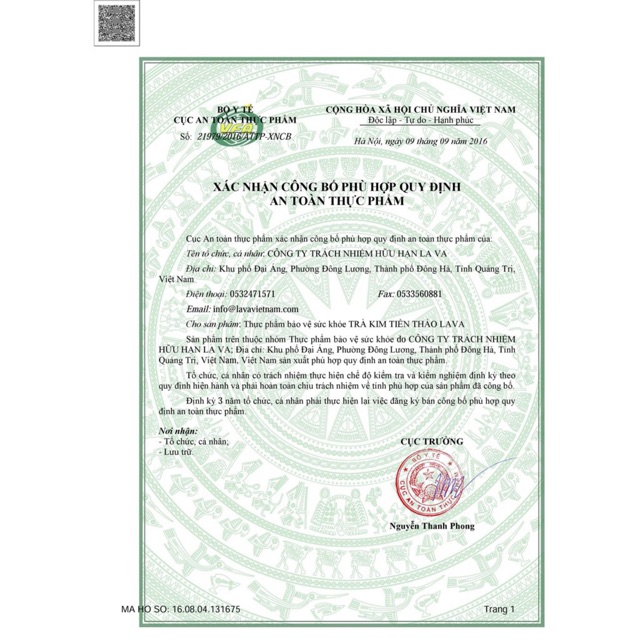 Trà Kim Tiền Thảo Lava