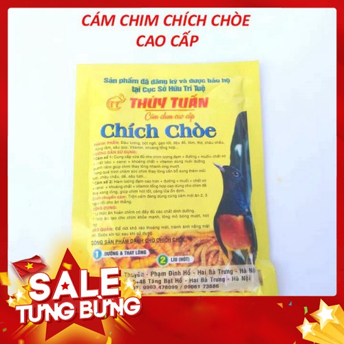 CÁM CHIM DINH DƯỠNG CHO CHIM CHÒE THAN _ CHÒE LỬA