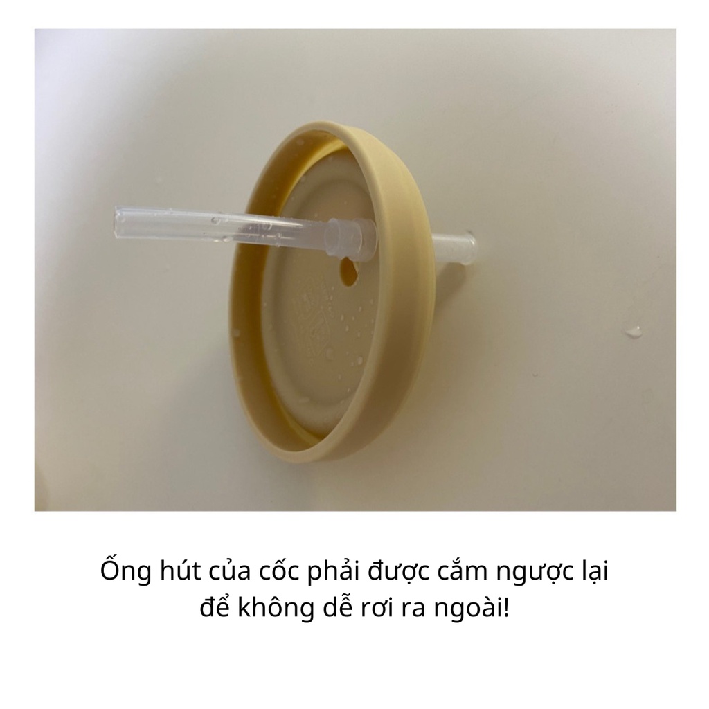 Cốc Tập Uống Cho Bé Kèm 2 Nắp Có Tay Cầm Tiện Dụng Chính Hãng Tgm Straw Snack Cup Hàn Quốc