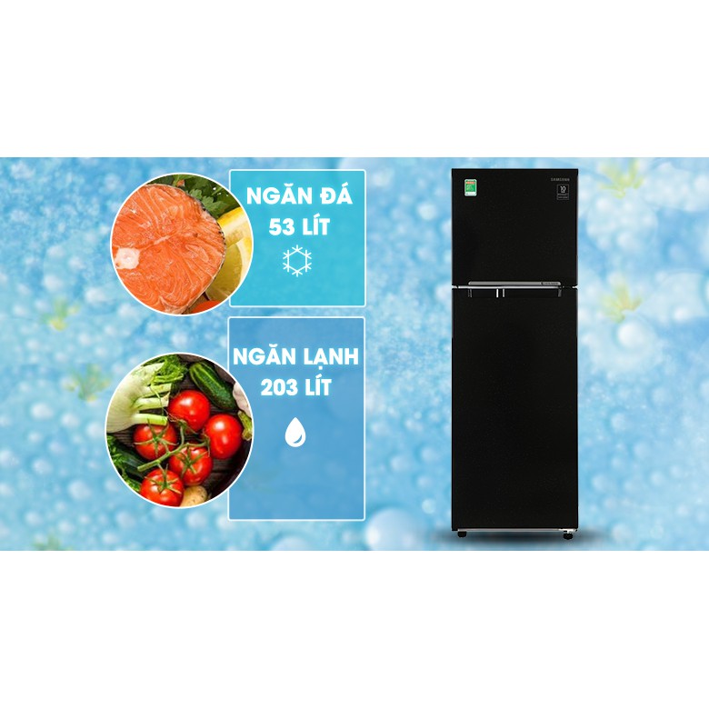 Tủ lạnh Samsung Inverter 256 lít RT25M4032BU/SV (Miễn phí giao tại HCM-ngoài tỉnh liên hệ shop)