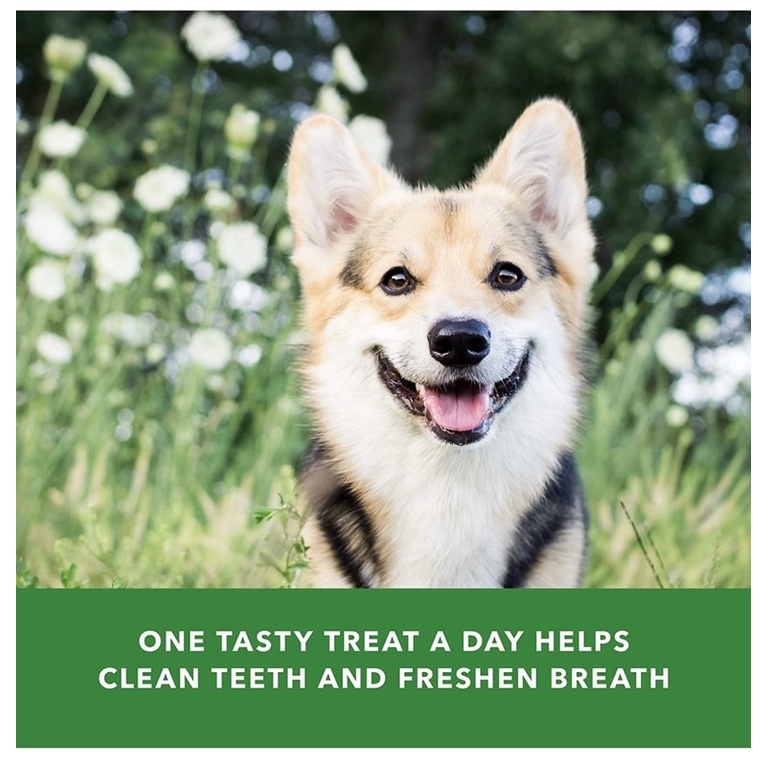 Xương nha khoa gặm sạch răng và thơm miệng Cho chó thương hiệu WAG của Mỹ hộp 1.02kg