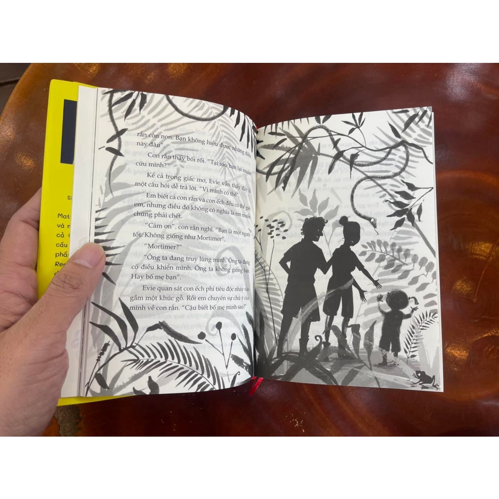 Sách - Evie Và Biệt Tài Bí Mật (Bìa Cứng) (Bình Book)
