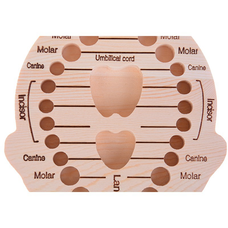 ❀❀ Hộp Gỗ Đựng Răng Sữa Phiên Bản Tiếng Anh / Tây Ban Nha