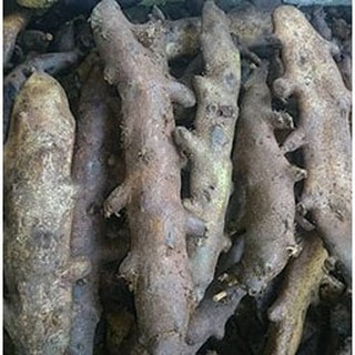 Tắc Kè Đá Khô 1kg
