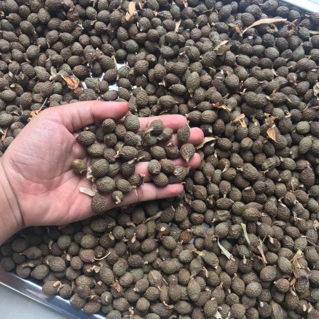 Hạt đười ươi bay - loại 1 - 500g