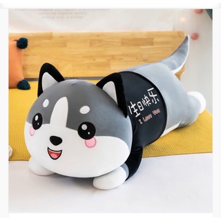 MÈO Alaska 130cm