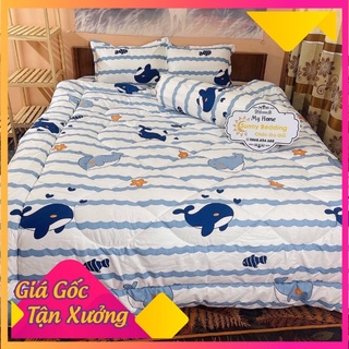 Trọn bộ chăn phao 5 món ga gối poly loại 1 chăn bông như hình