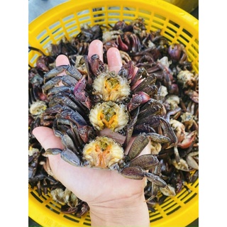 MẮM BA KHÍA TỎI ỚT 1kg