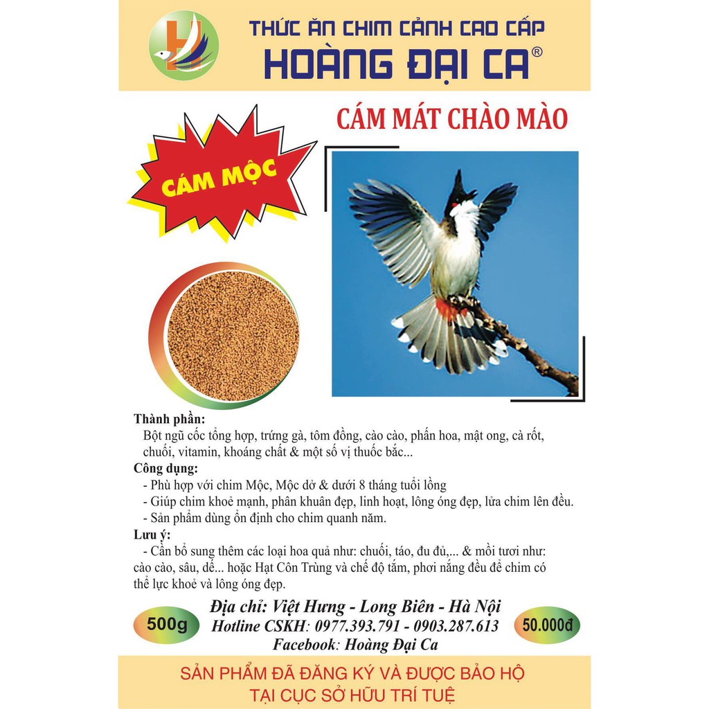 Cám Chim Chào Mào Hoàng Đại Ca Comboo 5,10 Gói Cám Chim Chất và Mát giúp Chim chơi bền hơn, tiết kiệm hơn