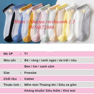 Combo tất lưới hoa Cúc cute cho chị em