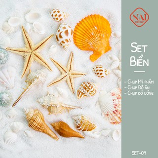 Set Sò Biển, Ốc Biển, Set chụp ảnh số 7 - Phụ kiện chụp biển (Sò, ốc, cát trắng) AZ