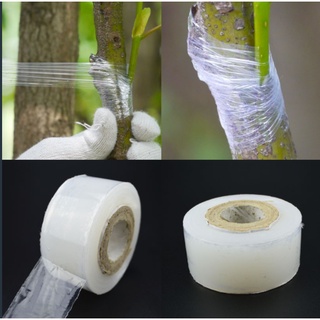 Cuộn Nilon Ghép Cây Chuyên Dụng Siêu Dai và không Tự Hoại 3CM - 4Cm - 5Cm