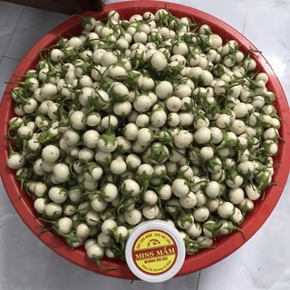 MẮM CÀ PHÁO 500G
