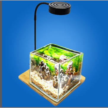 Đèn led để bàn đế gỗ cho hồ thuỷ sinh, hồ bán cạn