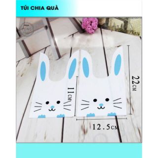 Túi chia quà sinh nhật set 5 cái