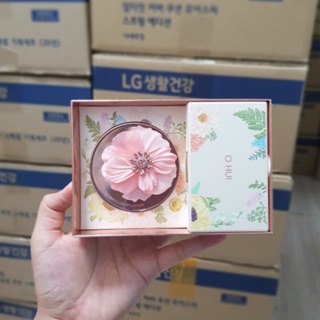 Phấn nước Ohui phiên bản hoa Hồng