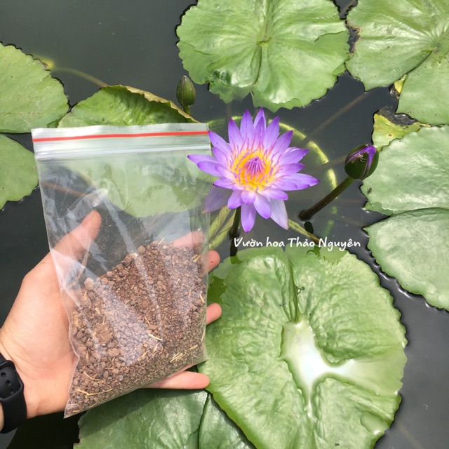 (BÁN LẺ) Thuốc diệt ốc 1 gói 100gam