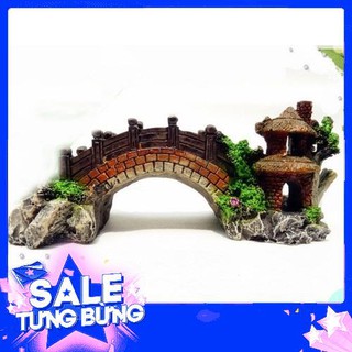 Hot Trang trí bể cá - Cây cầu cảnh trang trí bể cá rẽ
