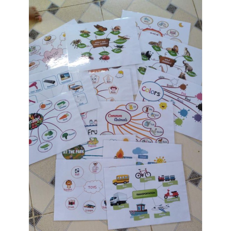 [Mindmap]sơ đồ tư duy Anh~Việt giấy in ảnh khổ A4, ép plastic, giúp bé nhớ NHANH- LÂU qua các chủ đề, bé tập tuyết trình