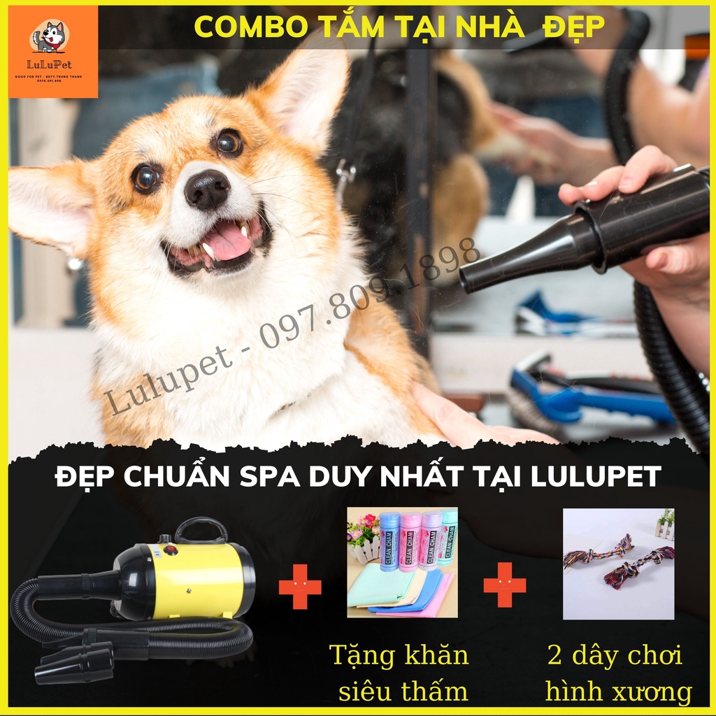 Máy Sấy Lông Chó Mèo Chuyên Dụng, Công Suất Lớn-Tặng Khăn Siêu Thấm &amp; Dây Chơi