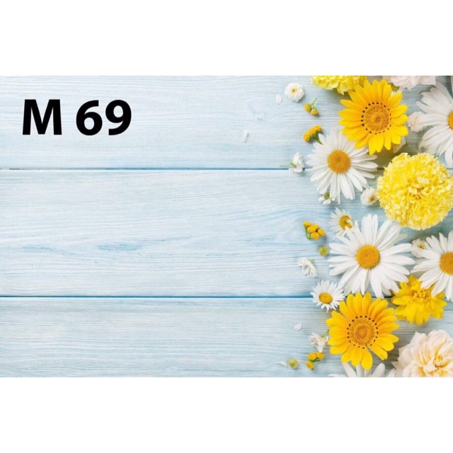 Thảm vải 3D chụp hình