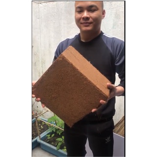 Viên nén xơ dừa ( 5kg) ( thành phần xơ dừa + dinh dưỡng trùn quế)