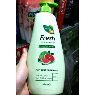 Dầu gội Fresh tinh dầu bưởi, tinh chất lá nem 550g