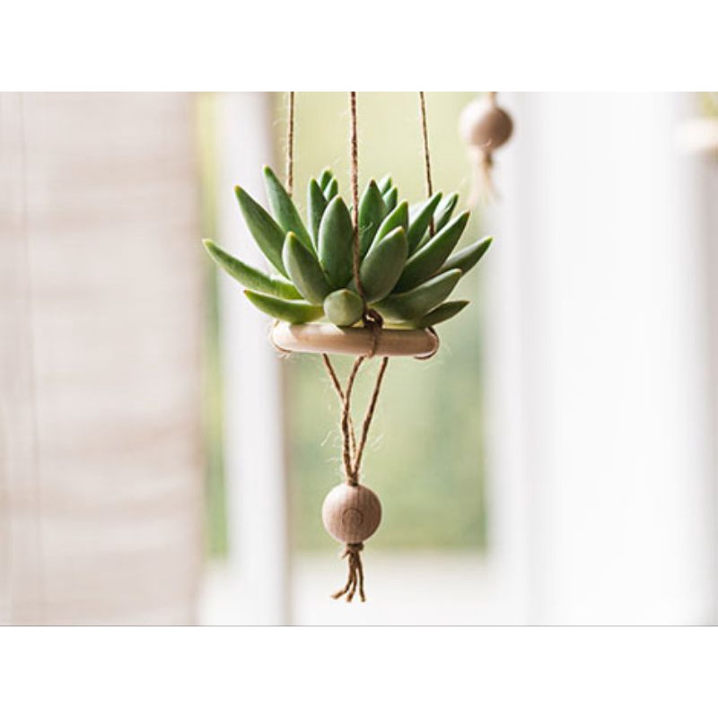 Set 5 dây treo cây không khí độc đáo