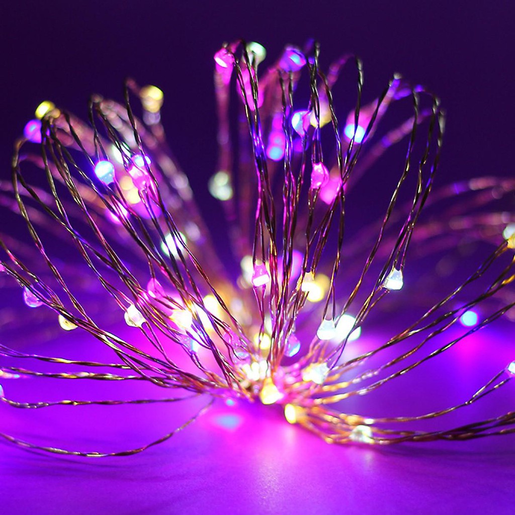 Dây đèn led đom đóm Fairy Light dài 1m,2m,6m,10m chớp nháy hộp Pin AA