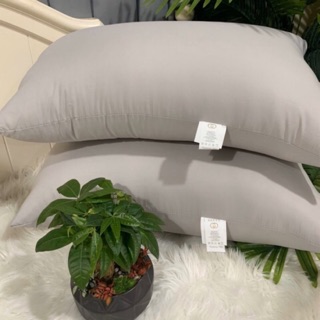 Ruột gối bông lông vũ kháng khuẩn