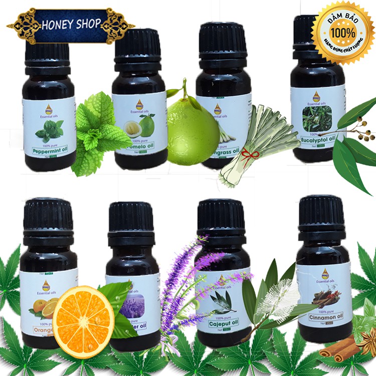 Combo 5 chai tinh dầu bưởi - tràm - sả chanh - bạc hà - khuynh diệp - cam - quế 10ml ( có thể chọn mùi )