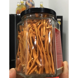 Đông trùng hạ thảo khô 10g