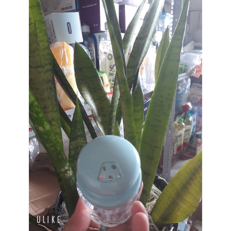 Lọ đựng tăm hạt tiêu giá rẻ