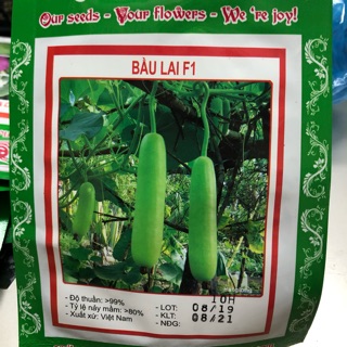 Hạt giống Bầu Lai F1 SMILE AGRICULTURE