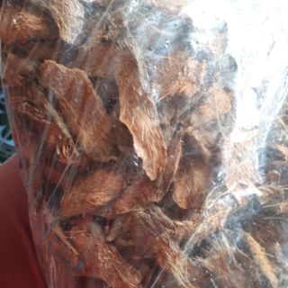 Thiên niên kiện