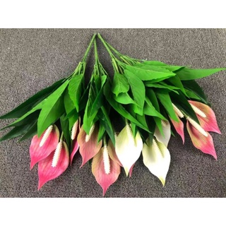 Cây hoa lan ý giả cao 50cm - 3 nhánh hoa- trang trí nhà cửa nội thất siêu yêu.